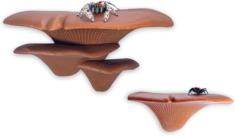 Daerky Jumping Spider Mushroom Shelf, Magnetically Concealed Jumping Spider Habitat,Serves As Enclosure Decorate Accessories for Spider Climbing Feeding and Platforms (Brown) - Image 1